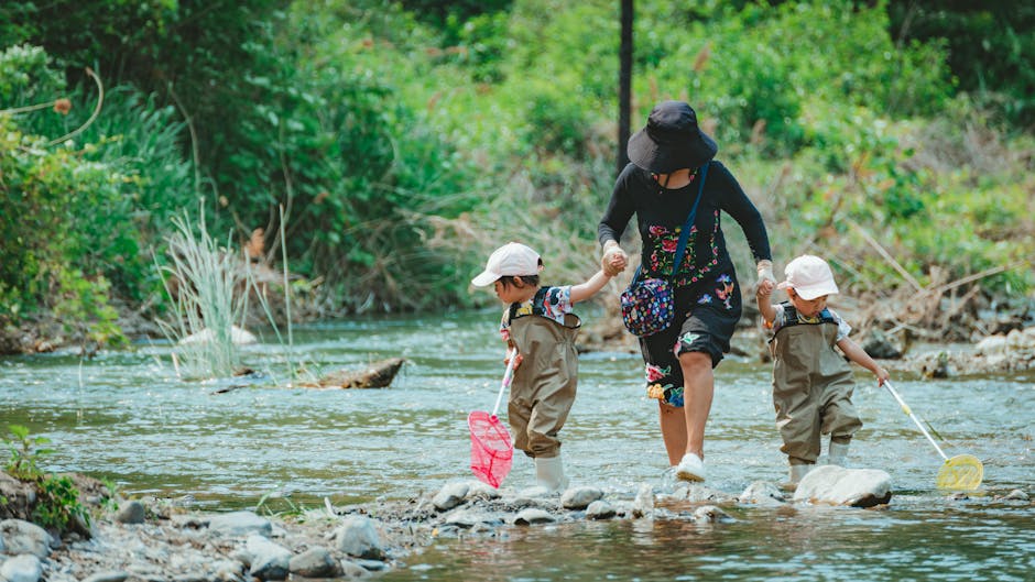 ガイド, しぶき, ネイチャーウォークの無料の写真素材