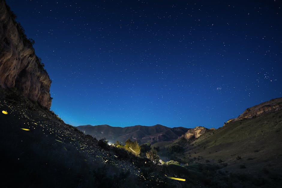 南アフリカのフリーステート州上空の、ホタルと星に照らされた魅惑的な夜空。