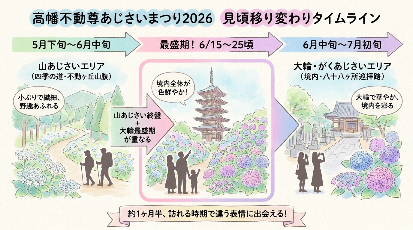 記事本文図解（中盤）
