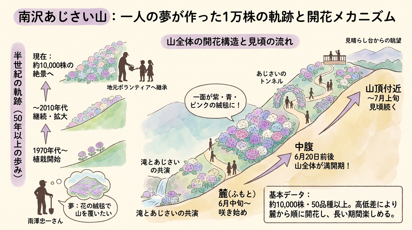 記事本文図解（中盤）