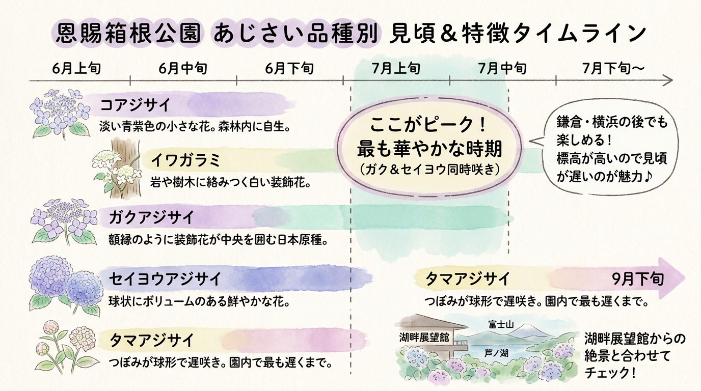 記事本文図解（中盤）