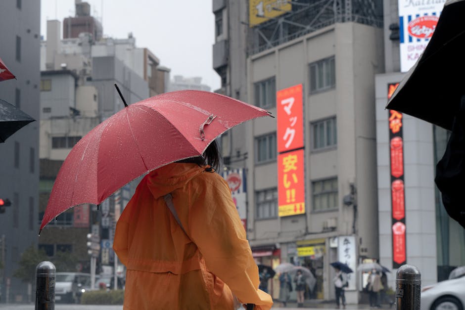 雨天対策・持ち物チェックリスト・トイレ情報 の参考イメージ