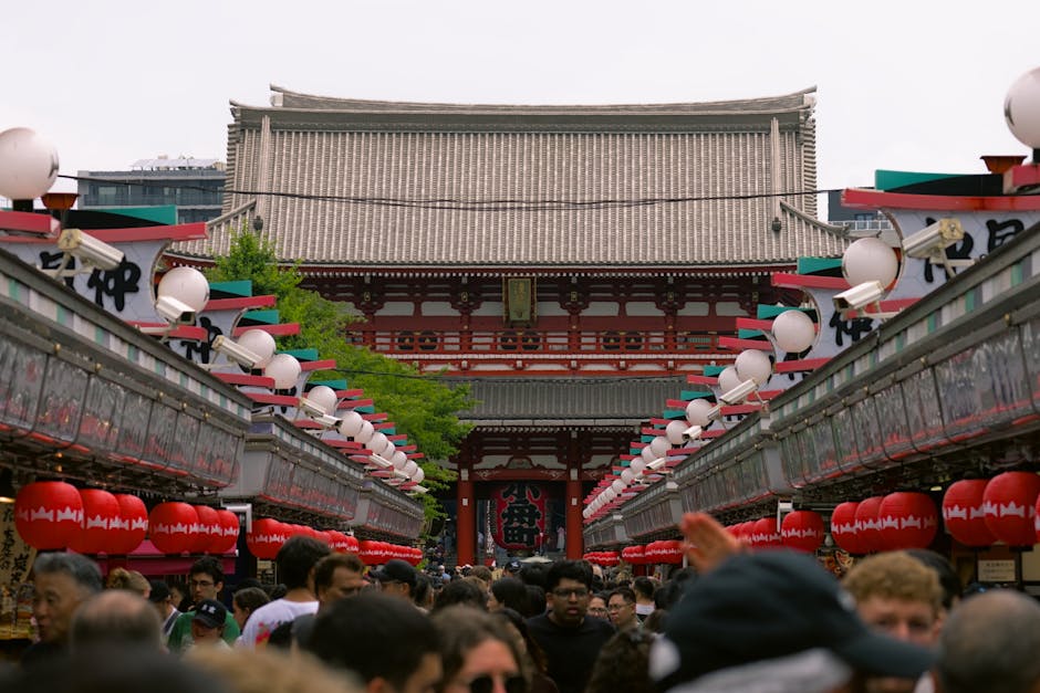 混雑回避テクニックと当日のタイムスケジュール例 の参考イメージ
