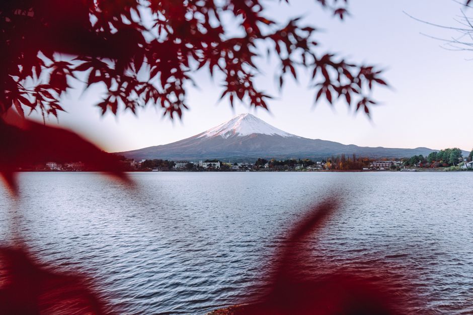 河口湖の湖畔から紅葉越しに撮影した富士山(河口湖紅葉まつりの撮影スポット)