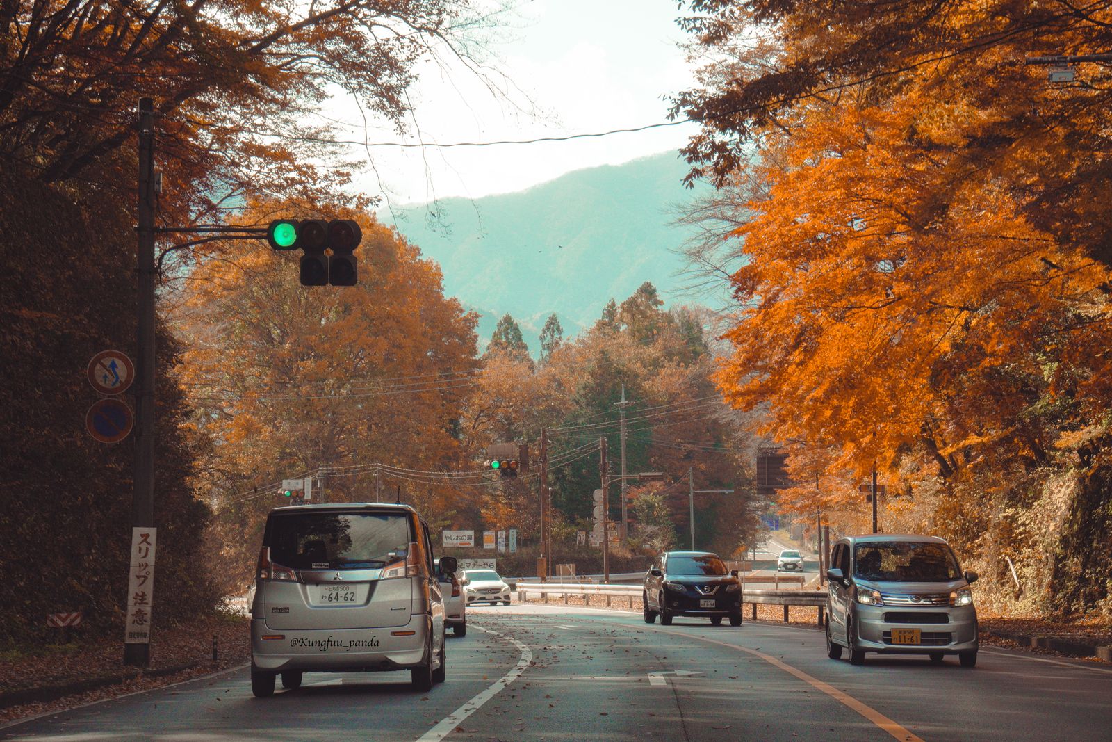 日光紅葉2026 色づいた木々に囲まれた日光の山道