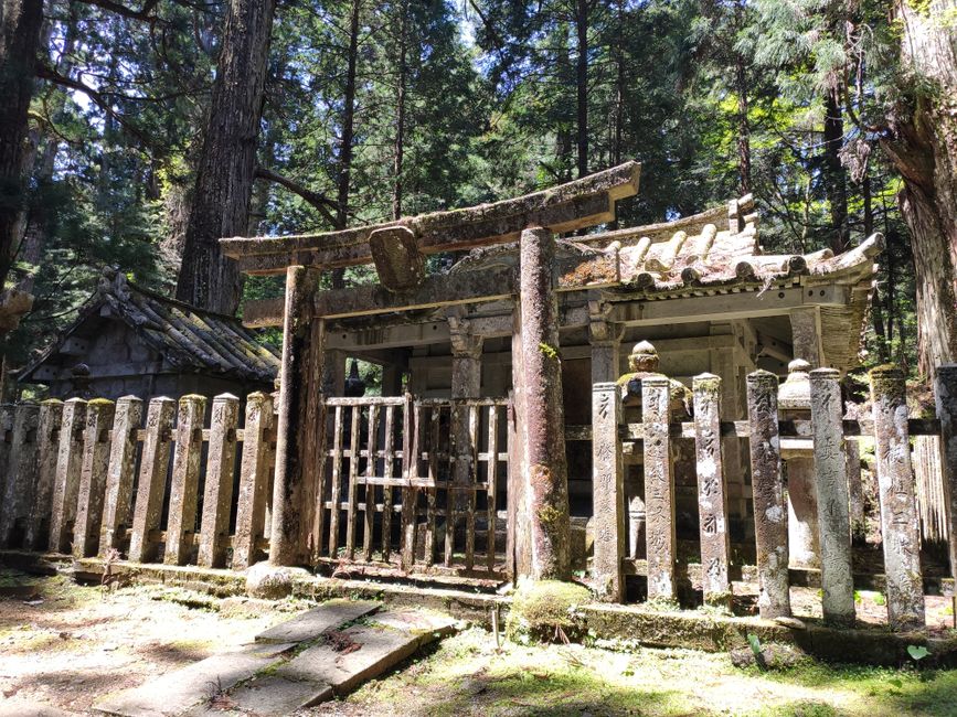 高野山紅葉2026 杉林に囲まれた高野山の古い鳥居と社殿