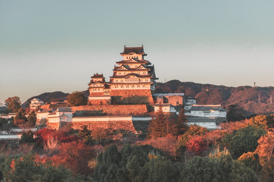 晩秋の夕方、色づいた木々に囲まれた姫路城の大天守