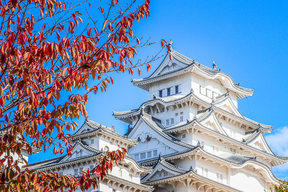兵庫の紅葉2026 青空の下で紅葉に彩られた姫路城の天守