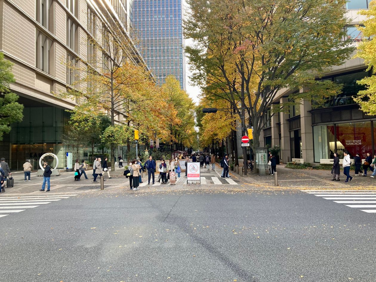 丸の内イルミネーション会場となる昼間の丸の内仲通りの並木道