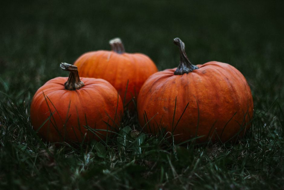 ハロウィンかぼちゃの由来のイメージ