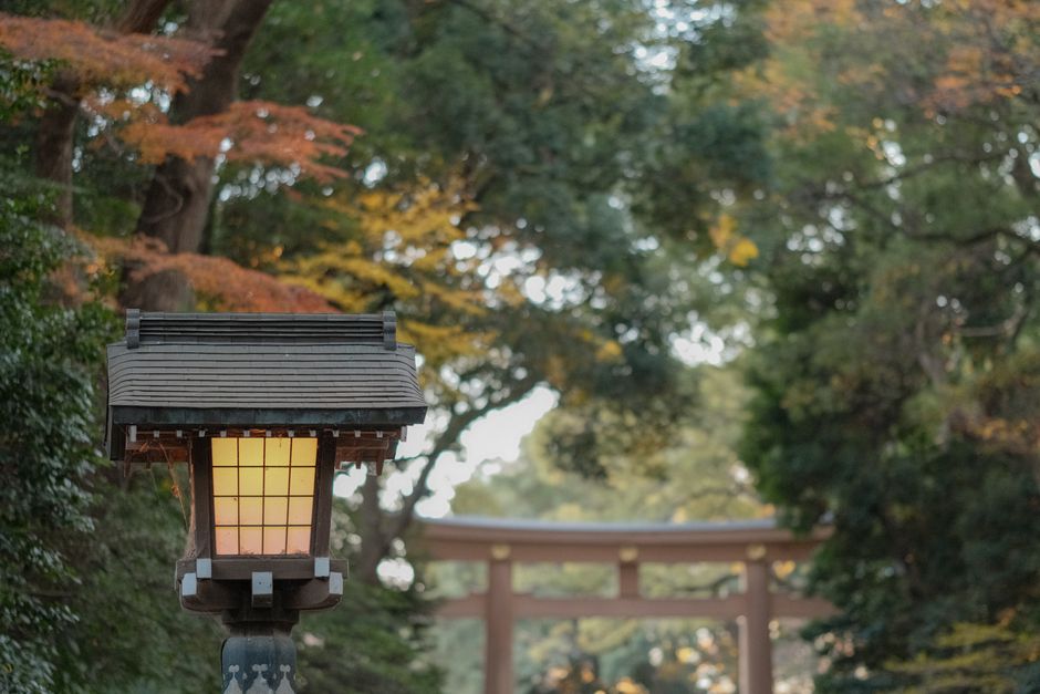 貴船神社紅葉ライトアップのイメージ